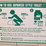 Japanese Squatter Instructions