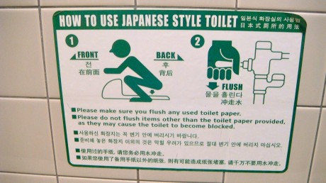 Japanese Squatter Instructions