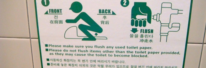 Japanese Squatter Instructions