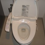 Japanese Washlet with Bidet and Drier