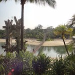 View from Barrier Island