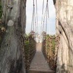 Swinging Bridge at Palawan